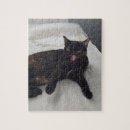 Recherche de cute tortoise Mignon