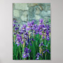 Search for iris painting posters Landscape