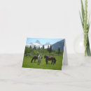 Search for mule cards Horse