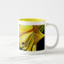 Search for splendour mugs Abstract