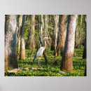 Recherche de oiseaux de marais art Zones humides