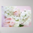 Search for hydrangea posters Rose