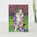 Search for memorial day cards Dog