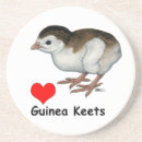 Search for keet Guinea