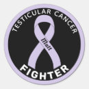 Recherche de testiculaire Sensibilisation