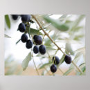 Search for olive posters Mediterranean