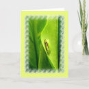 Search for frog note cards Nature