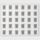 Search for eagles wrapping paper Usa