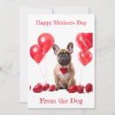 Search for french bulldog mothers day cards Funny