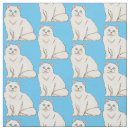 Search for persian fabric Iran