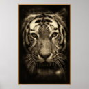 Recherche de tiger face posters Nature