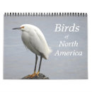 Search for ecology office supplies Environment