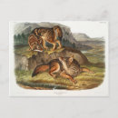 Recherche de prairie cartes postales Illustration