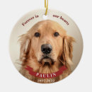 Search for forever home ornaments Zpet