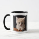 Search for baby kitten mugs Pet