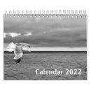 Search for black and white photography calendars Dog