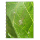 Search for arachnid notebooks Arachnophobia