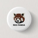 Search for zoo panda buttons Bear