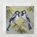 Search for magpie Wildlife