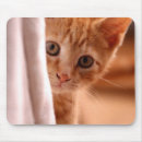 Recherche de caramel tapis souris Pour tous