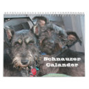 Search for calanders Animals