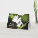 Search for white dogwood cards Pretty