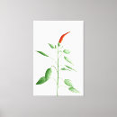 Search for red pepper art Nature
