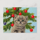 Recherche de chaton gris posters Chat de noël