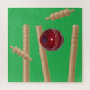 Search for cricket puzzles Sports