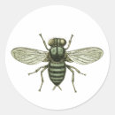 Search for house fly stickers Creepy