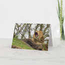 Recherche de roi de la jungle vœux cartes Animal