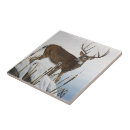 Search for whitetail deer tiles Buck