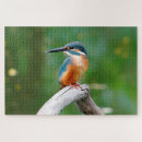 Recherche de martin pêcheur puzzles Oiseau