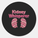 Search for kidney stickers Dialysis technician