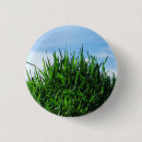 Search for ecosystem buttons Green