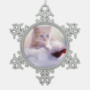 Search for light ginger Pet