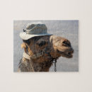 Search for camel puzzles Cute