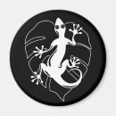 Search for salamanders magnets Gecko