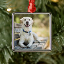Search for yellow labrador ornaments Pet