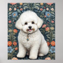 Search for bichon dog posters Animal