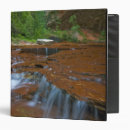 Search for fork binders Usa