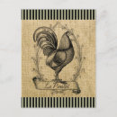 Recherche de poulet vintage cartes postales Illustration