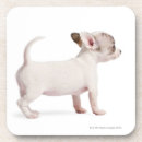 Search for side coasters Photography