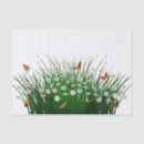 Search for green grass tissue paper Orange