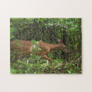 Recherche de cerfs communs puzzles Bois