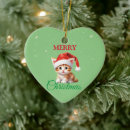 Search for costume ornaments Santa