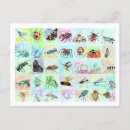 Search for buggin Bugs