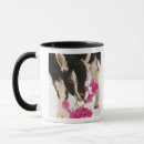 Search for domesticated mugs Innocence