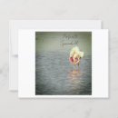 Search for roseate postcards Wildlife