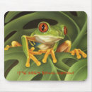 Search for tree frog mousepads Forest